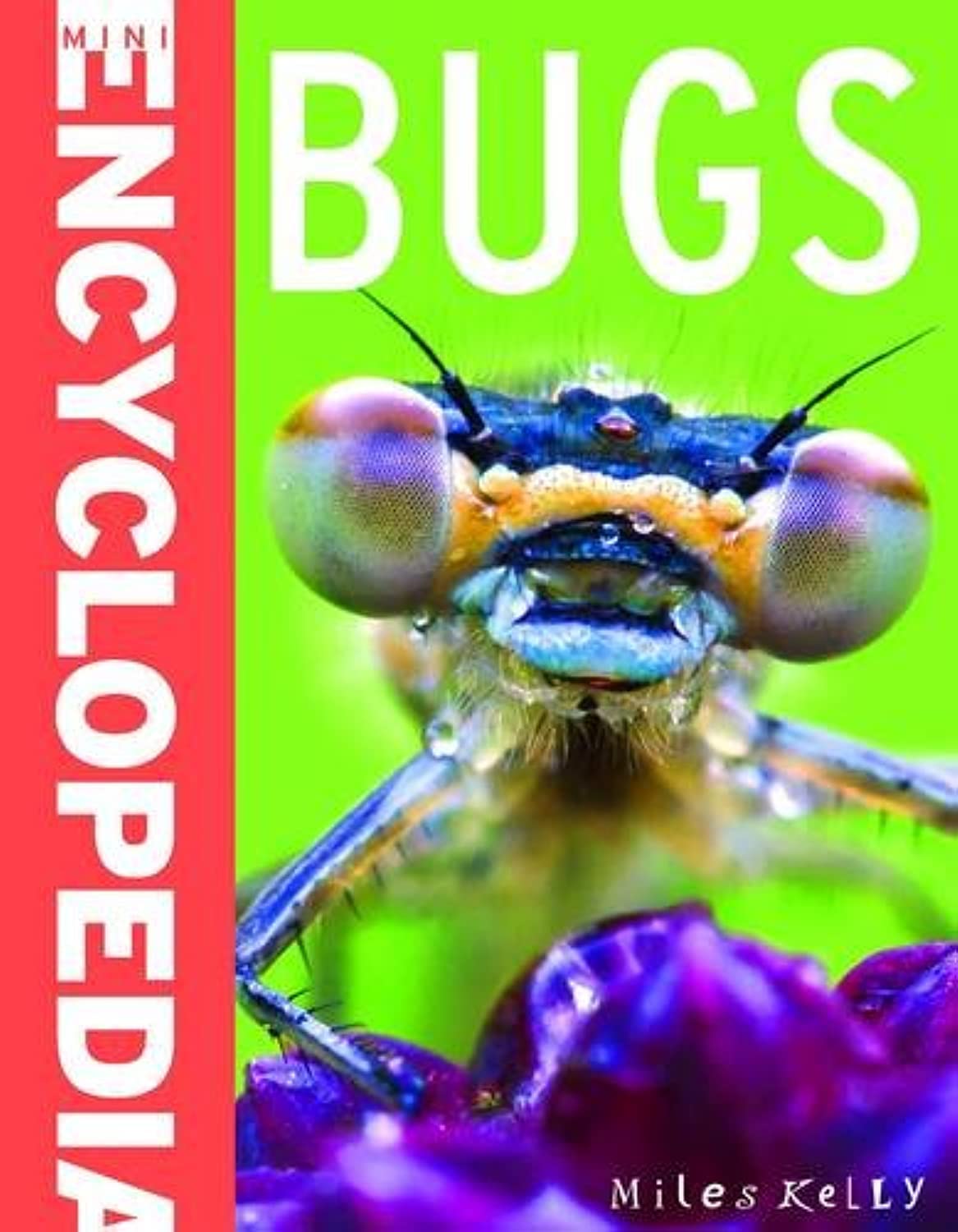 Mini Encyclopedia - Bugs (Sticker Book)