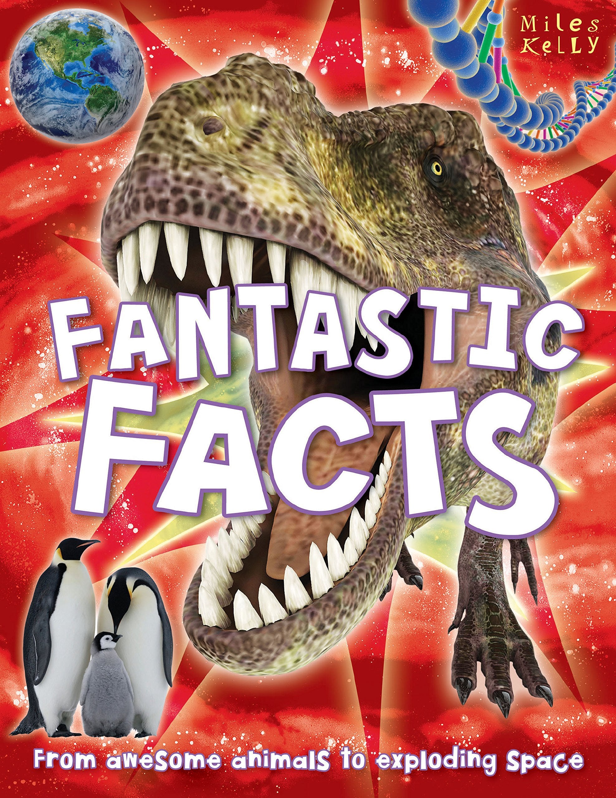 B384 Fantastic Facts