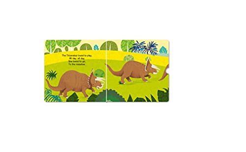 Slide and See Board Book : Dinosaurs (Board book)