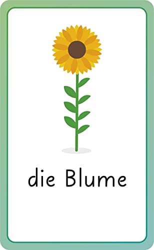 German for Everyone Junior First Words Flash Cards (Cards)