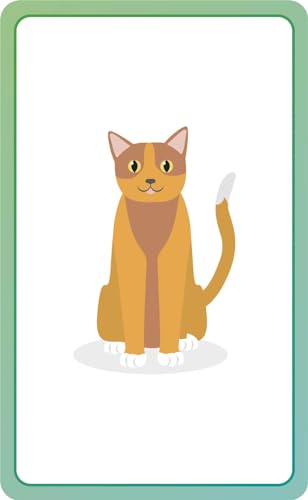 German for Everyone Junior First Words Flash Cards (Cards)