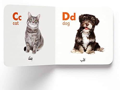 My First English-Arabic Learning Library: Bilingual Boxset of 10 Picture Board Books for Kids - Covers Basic Concepts and Everyday Topics (Board book)