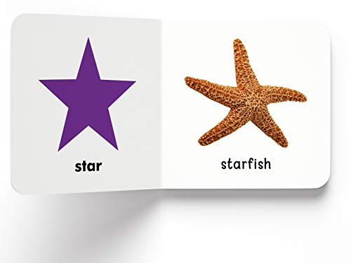 My First Book of Shapes | First Board Book for Babies, Toddlers & Preschoolers | Learn Basic Shapes Like Circle, Square, Triangle with Bright Pictures | Early Learning Book for Kids Ages 0-3 Years (Hardcover)