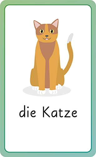 German for Everyone Junior First Words Flash Cards (Cards)