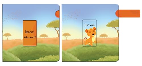 Look Who’s Hiding: Baby animals (Look Who’s Hiding) (Board book)