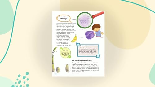 Amazing Questions & Answers Plants (Paperback)