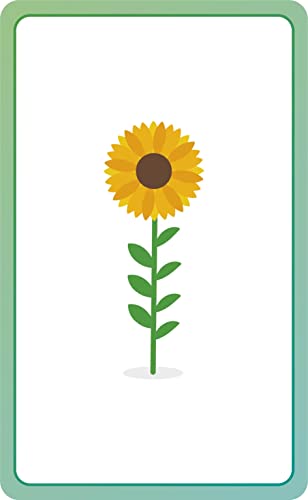 German for Everyone Junior First Words Flash Cards (Cards)