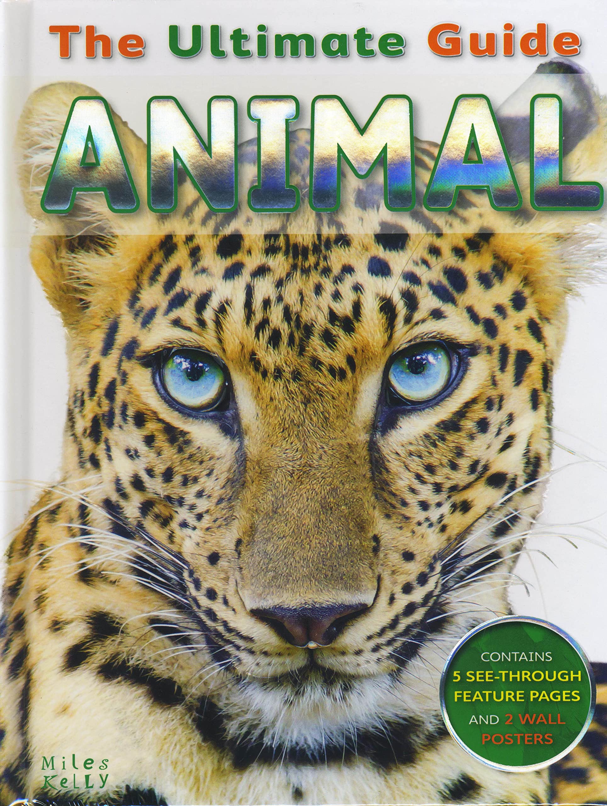 Animal (Ultimate Guide)