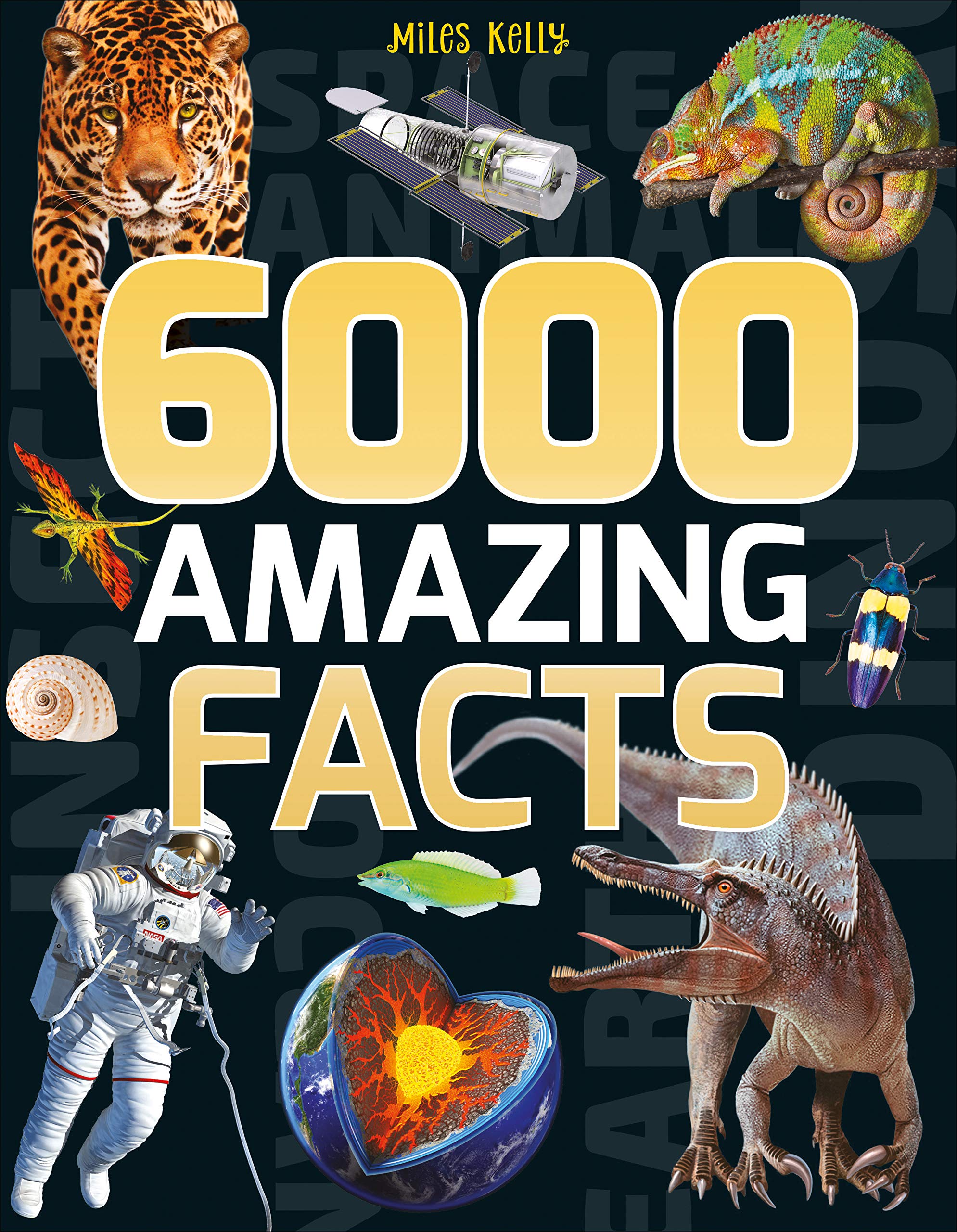 6000 Amazing Facts