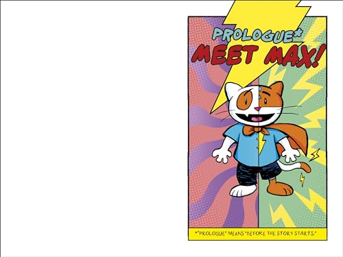 Max Meow Book 1: Cat Crusader: A graphic novel (Hardcover)