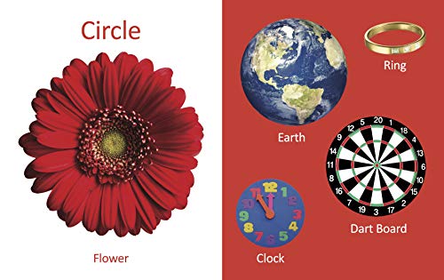 My First Book of Shapes for Children: Learn Circle, Square, Triangle & More | Recognize & Name Basic Shapes with Fun Objects | First Steps into Geometry | Shape Introduction with Bold Visuals | Smart  (Board book)