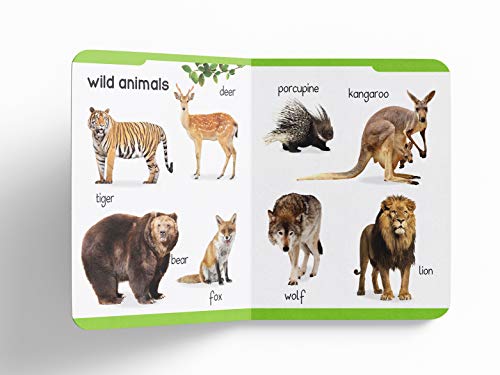 My First Padded Book of Animals: Early Learning Board Book for Kids | Learn About Wild Animals, Farm Animals, Pets & Birds with Bright Pictures | Durable Padded Board Book for Babies, Toddlers & Presc (Hardcover)