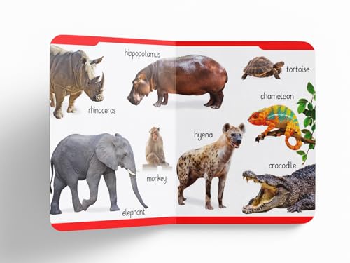 Early Learning Padded Book of Animals: Board Book for Kids | Learn About Wild Animals, Farm Animals, Pets & Birds with Bright, Engaging Pictures | Durable Padded Board Book for Babies, Toddlers & Pres (Board book)