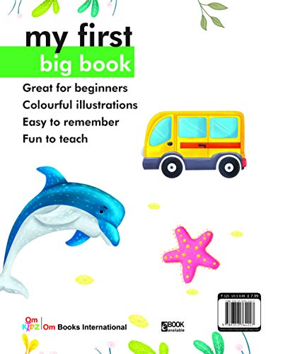 My First Book Big Book English Alphabets (ABC, abc) & Hindi Varnmala (क, ख, ग...), Numbers 1 to 10 & More | Fun with Animals, Body Parts Birds, Fruits, Vegetables | First Words & Visual Discovery | Ea (Board book)