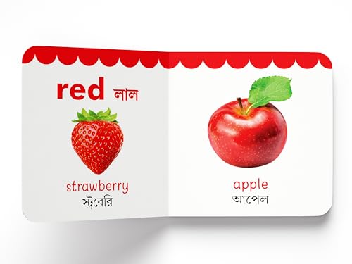 My First English-Bengali Learning Library (Boxed Set of 10 Books) (My First Book of) (Board book)