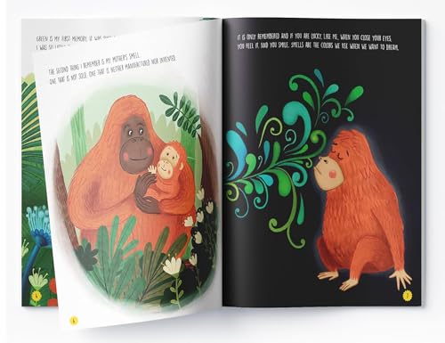Jo-Jo The Orangutan – Illustrated Picture Book For Children (Paperback)