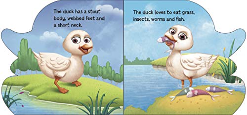 Board Book : Duck ( Animals and Birds ) - Cutout Board Books (Board book)