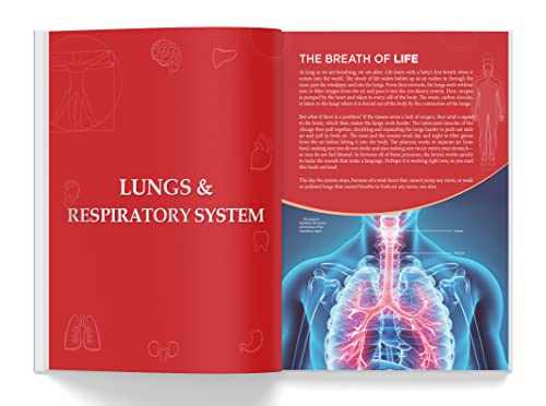 Knowledge Encyclopedia - Human Body (Hardcover)