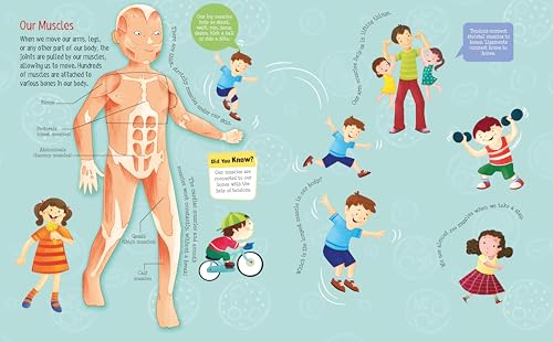 Board Book: Lift the Flap Look Inside Human Body- Activity Book for Children Age 3-5 Years (Board book)