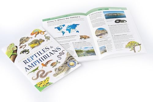 Animals - Collection of 6 Books : Knowledge Encyclopedia For Children (Box Set) (Paperback)