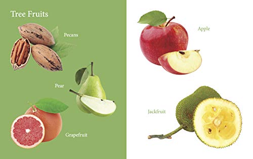 My First Book of Fruits for Children: Fruit Names with Realistic Images | Early Word Recognition | Fun Introduction to Healthy Eating | Learn and Name Fruits with Joy | Colourful Learning Journey for  (Hardcover)