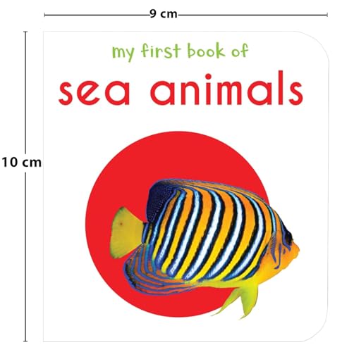 My First Library: Boxset of 10 Board Books for Kids (Pack 1) | Includes ABC, Numbers, Shapes, Colors, Wild Animals, Farm Animals & Pets, Birds, Fruits, Vegetables & Transport | Early Learning Board Bo (Hardcover)