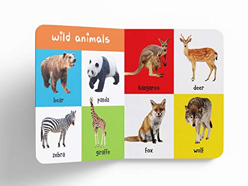My First 100 Animals and Birds: Padded Board Book for Kids | Learn Names of Wild Animals, Farm Animals, Pets & Birds with Bright Pictures | Early Learning Book for Babies, Toddlers & Preschoolers | Ag (Board book)