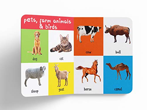My First 100 Animals and Birds: Padded Board Book for Kids | Learn Names of Wild Animals, Farm Animals, Pets & Birds with Bright Pictures | Early Learning Book for Babies, Toddlers & Preschoolers | Ag (Board book)
