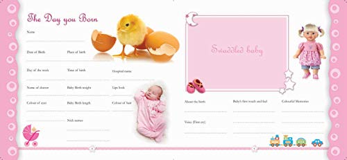 Record Book: Baby Record Books for Girls (Pink): Pink book (Hardcover)