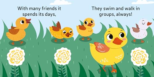 Baby Duck Finger Puppet Book - Fun Activities Board books for Kids Board book – Picture Book (Board book)