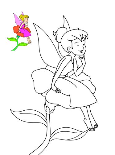 Colouring book : Copy Colouring Book Fairies (Colouring book for kids) (Paperback)