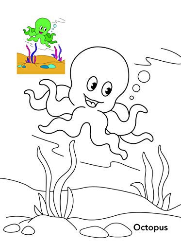 Colouring book : Copy Colouring Book Sea Animals (Colouring book for kids) (Paperback)