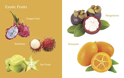 My First Book of Fruits for Children: Fruit Names with Realistic Images | Early Word Recognition | Fun Introduction to Healthy Eating | Learn and Name Fruits with Joy | Colourful Learning Journey for  (Paperback)
