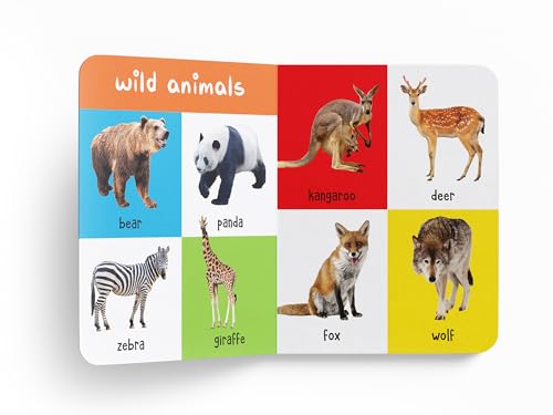 My First 100 Animals and Birds: Board Book for Kids | Part of My 100 Library Series | Learn Names of Wild Animals, Farm Animals, Pets & Birds with Bright Pictures | Early Learning Book for Babies, Tod (Board book)