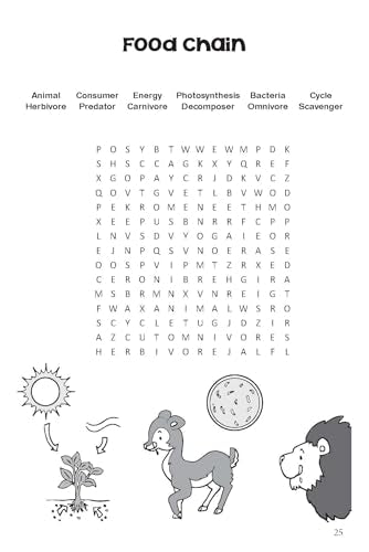 Fun With Word Search Level-4 - Word Puzzles Activity books for Kids - Word Search Book with Solutions (Paperback)