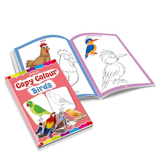 Set of 6 Copy Colour Books for Kids Age 3–5 Years | Animals, Birds, Flowers, Fruits, Transport, Vegetables | Fun Preschool Activity to Learn Colours & Object Names | Large Images & Thick Paper | Early (Paperback)