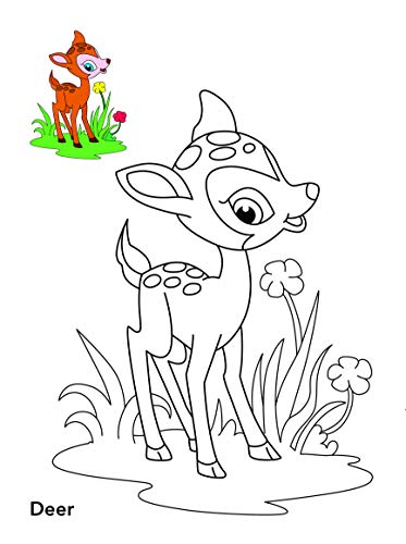 Colouring book : Copy Colouring Book Animals (Colouring book for kids) (Paperback)
