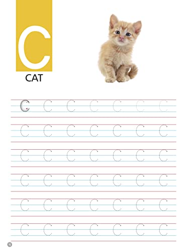 Activity Book : Learn to Write Uppercase Alphabet Activity Book (Paperback)