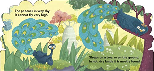 Board Book : Peacock ( Animals and Birds) - Cutout Board Books (Board book)