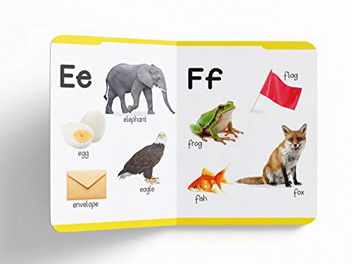 My First Padded Book of Alphabet: Early Learning Board Book for Kids | Learn ABC with Bright and Colorful Pictures | Durable Padded Board Book for Babies, Toddlers & Preschoolers | Ages 0–5 Years (Hardcover)