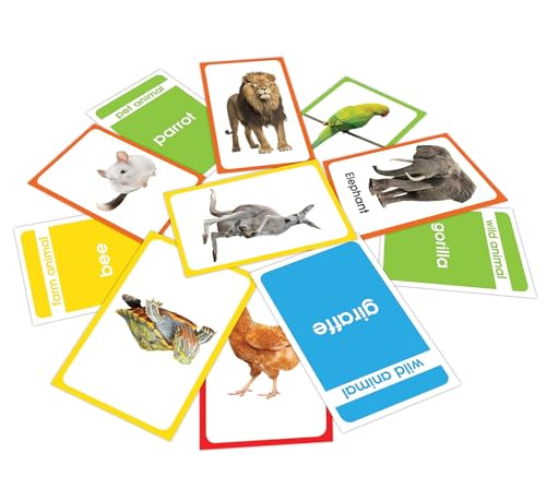 Amazing Flash Cards Set Of 4 Boxes: Early Development OF Preschool Toddler (220 Cards, Alphabet, Number, Animals, Colors And Shapes) (Hardcover)