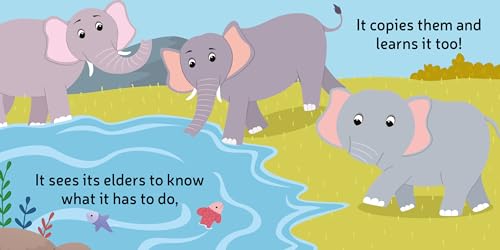 Baby Elephant Finger Puppet Book - Fun Activities Board books for Kids Board book – Picture Book (Board book)