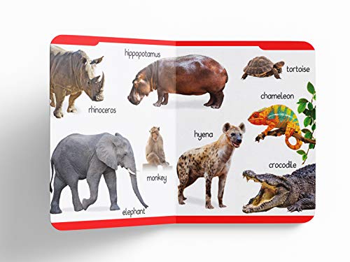 My First Padded Book of Animals: Early Learning Board Book for Kids | Learn About Wild Animals, Farm Animals, Pets & Birds with Bright Pictures | Durable Padded Board Book for Babies, Toddlers & Presc (Hardcover)