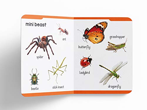 My First Padded Book of Animals: Early Learning Board Book for Kids | Learn About Wild Animals, Farm Animals, Pets & Birds with Bright Pictures | Durable Padded Board Book for Babies, Toddlers & Presc (Hardcover)