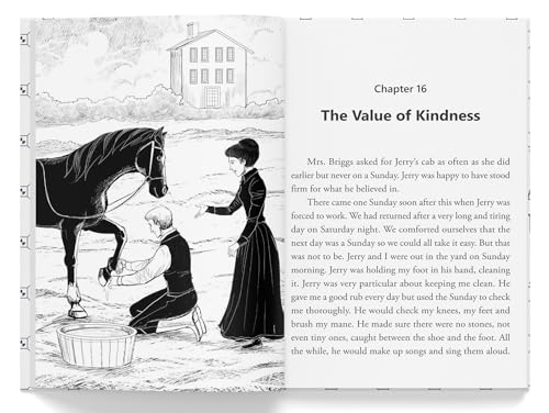 Black Beauty: Illustrated Abridged Children Classics English Novel With Review Questions (Hardback) (Hardcover)