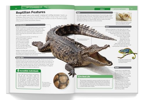 Children’s Encyclopedia - Our Planet Earth, Animals and Human Body: Animals, Human Body and Our Planet Earth (Hardcover)