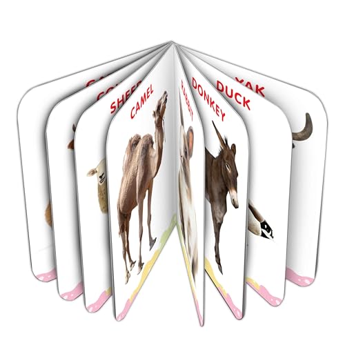 My First Big Picture Board Book Farm Animals & Pets :- Farm Animal and Pet Learning Book, Bright Picture Board for Toddlers, Easy Early Education Book (Board book)