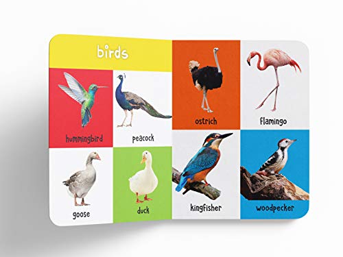 My First 100 Animals and Birds: Padded Board Book for Kids | Learn Names of Wild Animals, Farm Animals, Pets & Birds with Bright Pictures | Early Learning Book for Babies, Toddlers & Preschoolers | Ag (Board book)