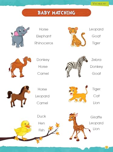 Activity Book: My Big Book of Fun Activities (Beginner) (Paperback)