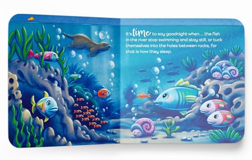 It’s Time to Say Goodnight (Board book)